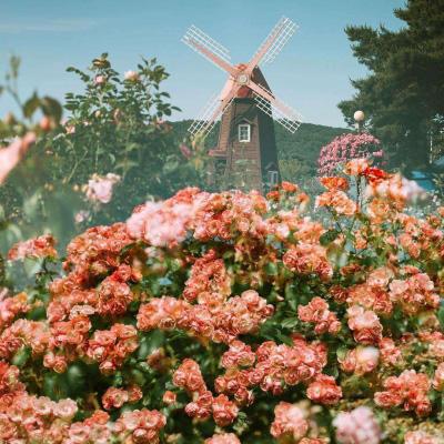 皇冠新体育APP官方入口截图