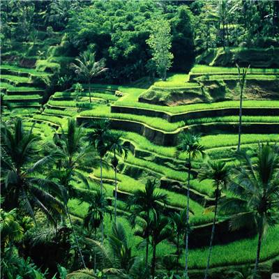 半岛综合app官网登录